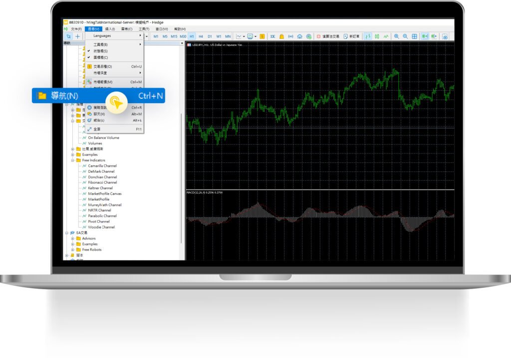 mtf-plus-platforms-download-and-login-of-trading-platform-change-account-password-pc-version-image-1